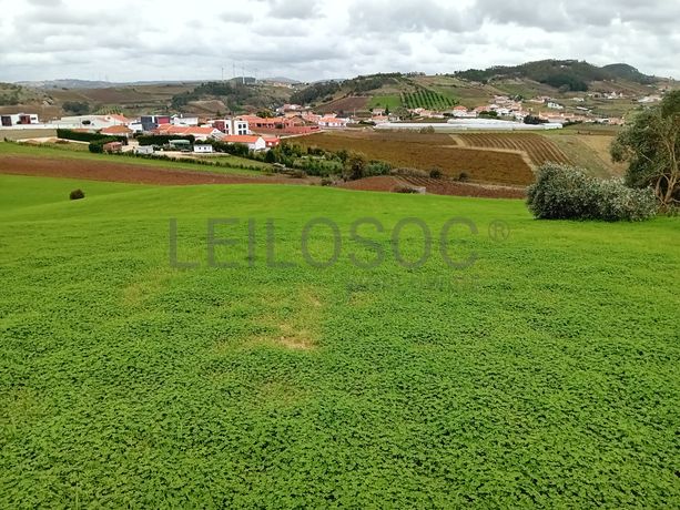 Terreno · Torres Vedras