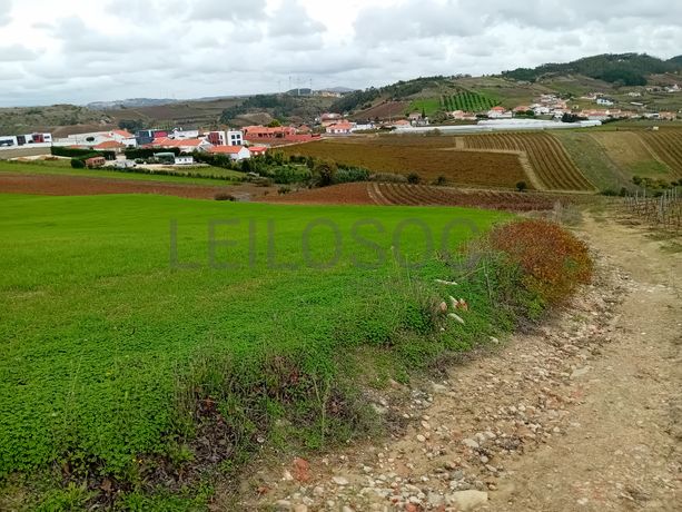 Terreno · Torres Vedras