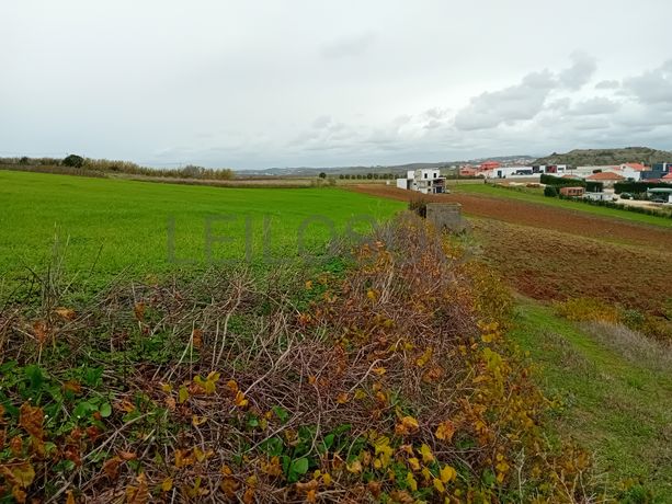 Terreno · Torres Vedras