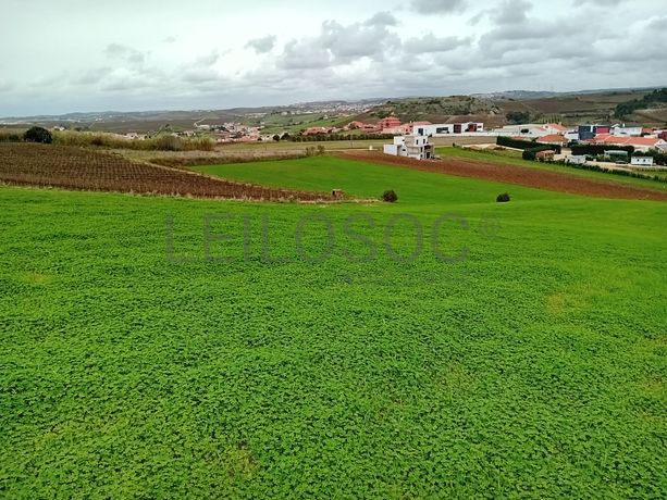 Terreno · Torres Vedras