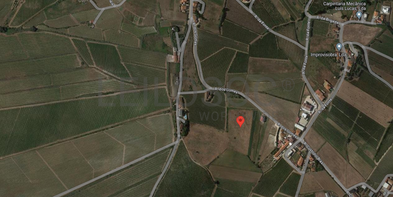 Terreno · Torres Vedras