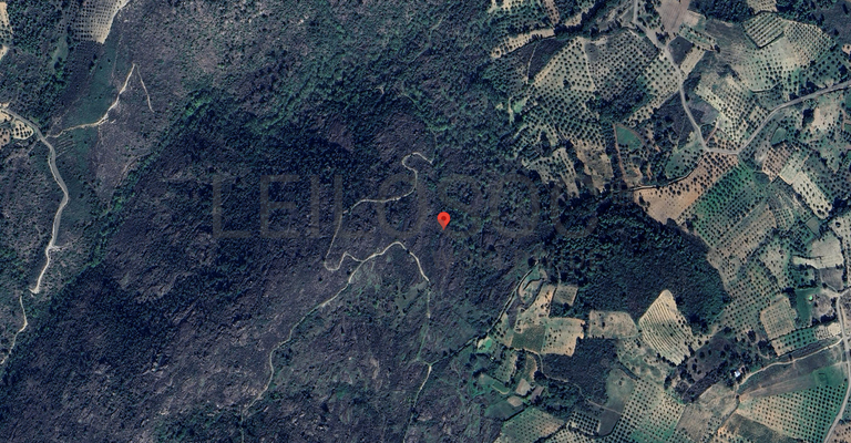 Direito à Raiz de Terrenos · Macedo de Cavaleiros, Bragança