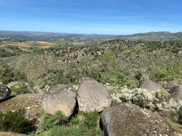 Direito à Raiz de Terrenos · Macedo de Cavaleiros, Bragança
