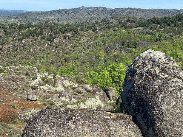 Direito à Raiz de Terrenos · Macedo de Cavaleiros, Bragança
