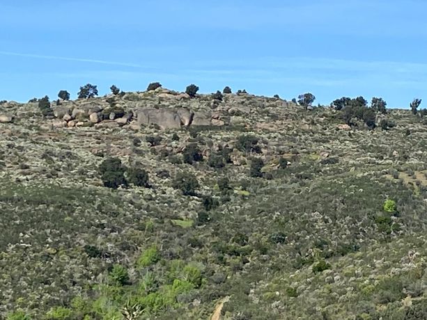 Direito à Raiz de Terrenos · Macedo de Cavaleiros, Bragança