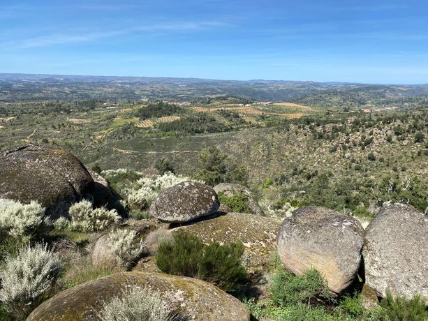 Direito à Raiz de Terrenos · Macedo de Cavaleiros, Bragança