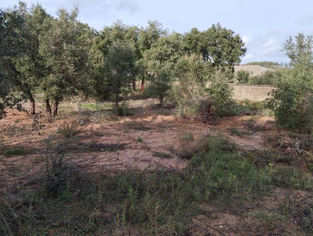 Lote de Terreno para Construção · Mação, Santarém