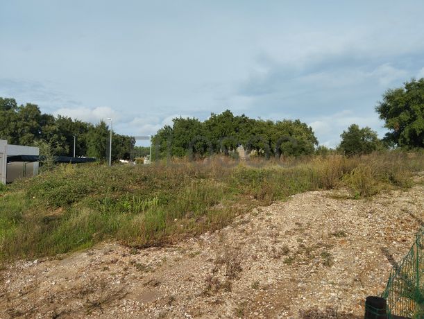 Lote de Terreno para Construção · Mação, Santarém