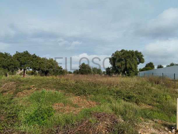 Lote de Terreno para Construção · Mação, Santarém