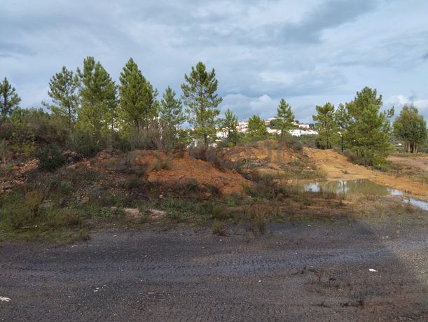 Lote de Terreno para Construção · Mação, Santarém