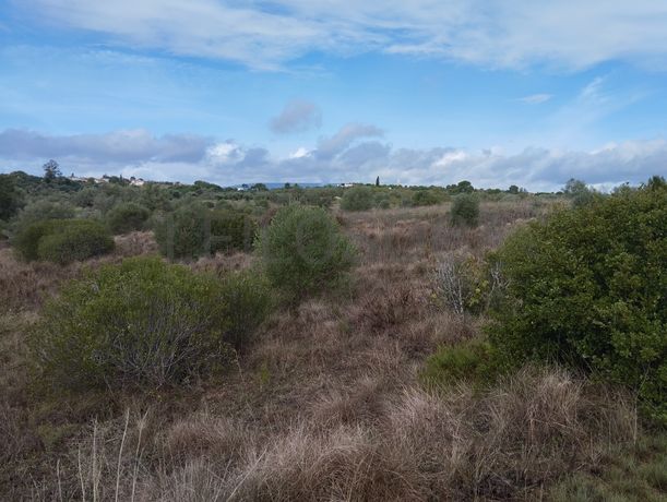 Terreno · Brogueira, Torres Novas