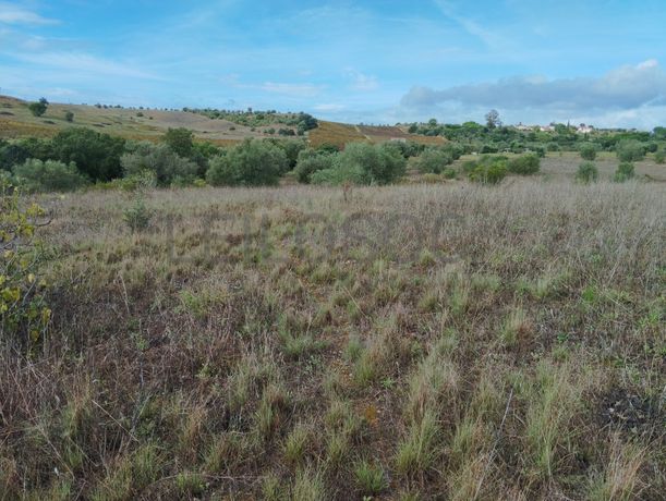 Terreno · Brogueira, Torres Novas