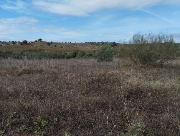 Terreno · Brogueira, Torres Novas