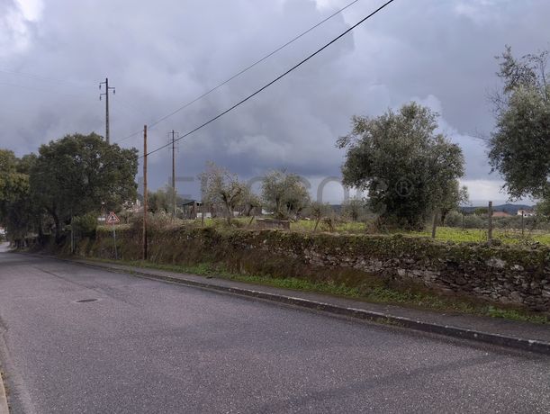 Terreno · Sardoal, Santarém