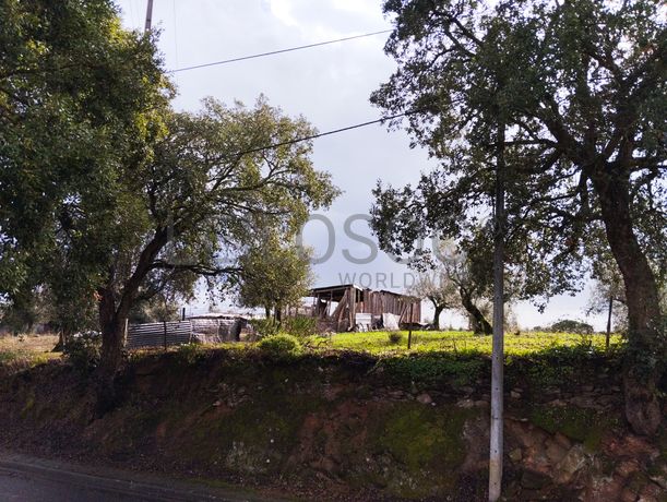 Terreno · Sardoal, Santarém