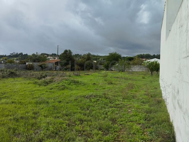 Terreno · Abrantes, Santarém