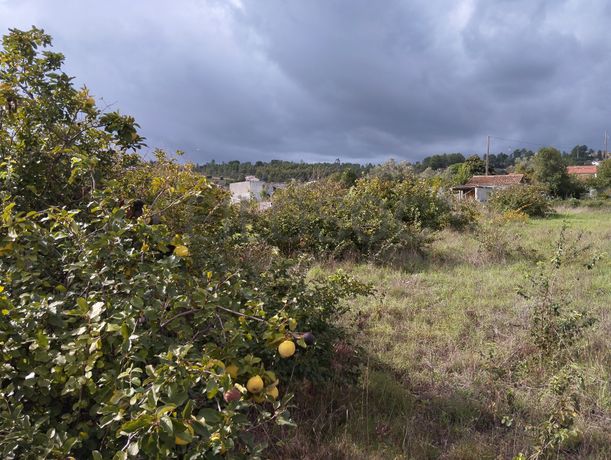 Terreno · Abrantes, Santarém