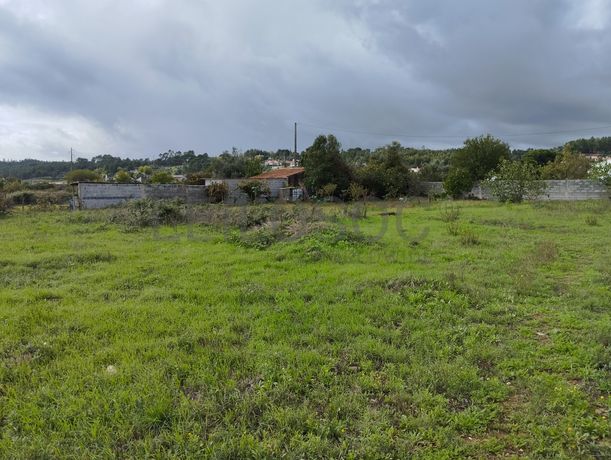 Terreno · Abrantes, Santarém