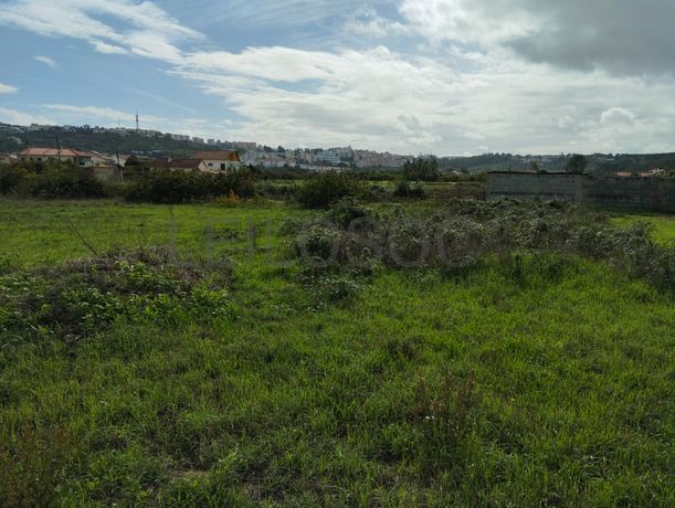 Terreno · Abrantes, Santarém