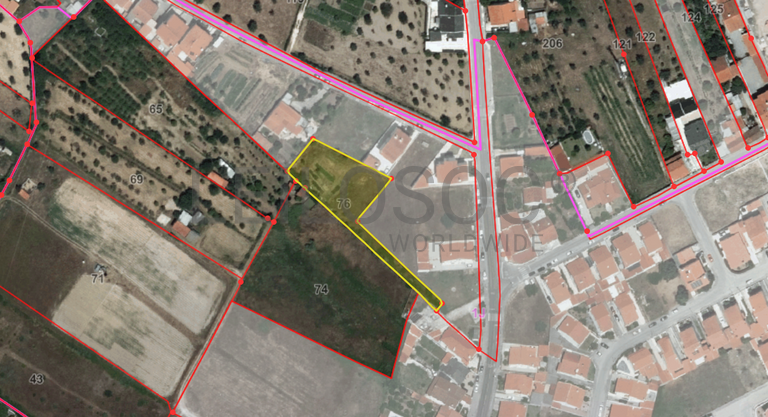 Terreno · Abrantes, Santarém