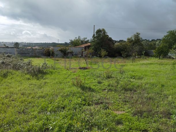 Terreno · Abrantes, Santarém
