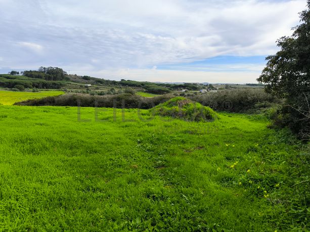 Terreno · Sintra