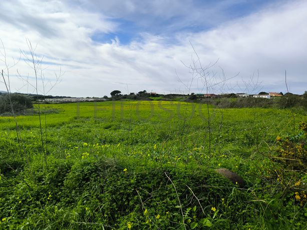 Terreno · Sintra