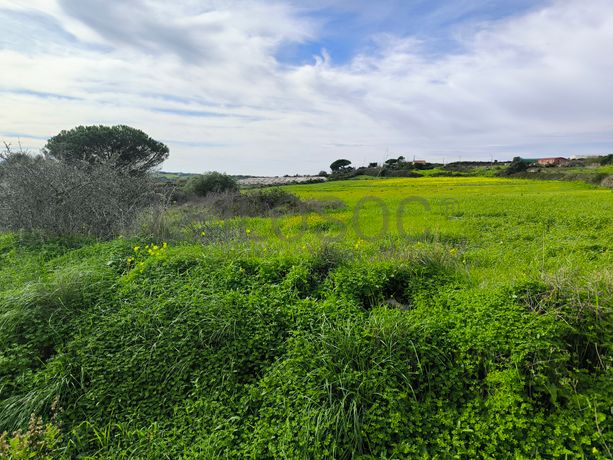 Terreno · Sintra