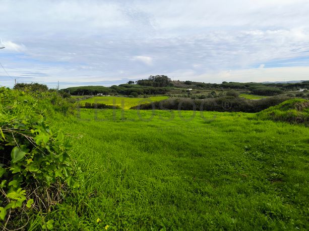 Terreno · Sintra