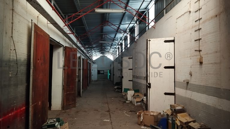 Armazém + Terreno · Santarém