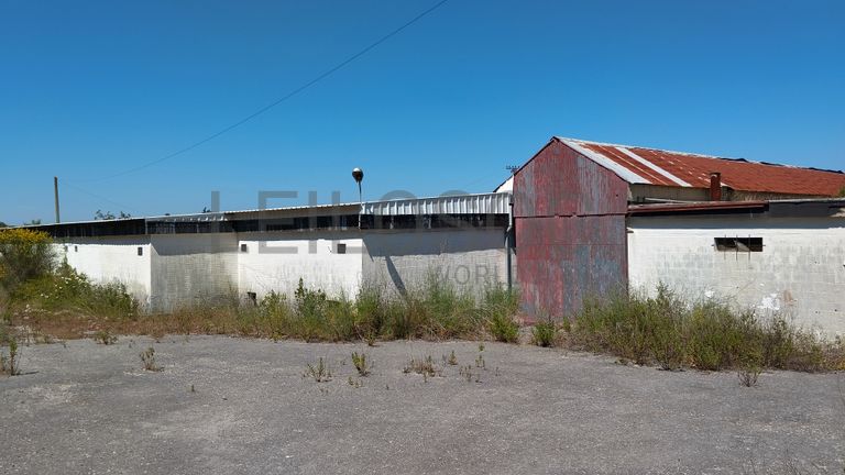Armazém + Terreno · Santarém