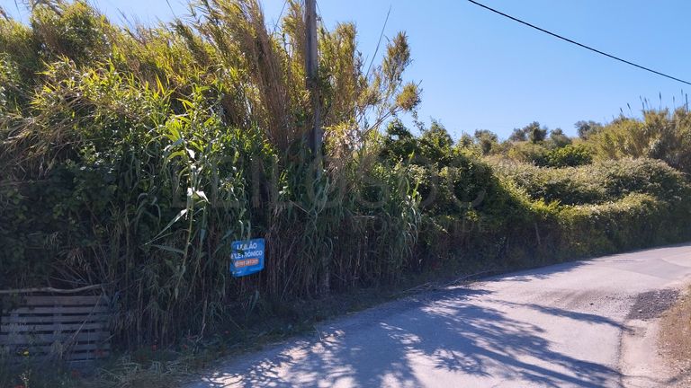 Armazém + Terreno · Santarém