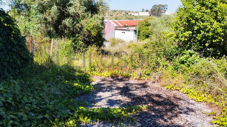 Armazém + Terreno · Santarém