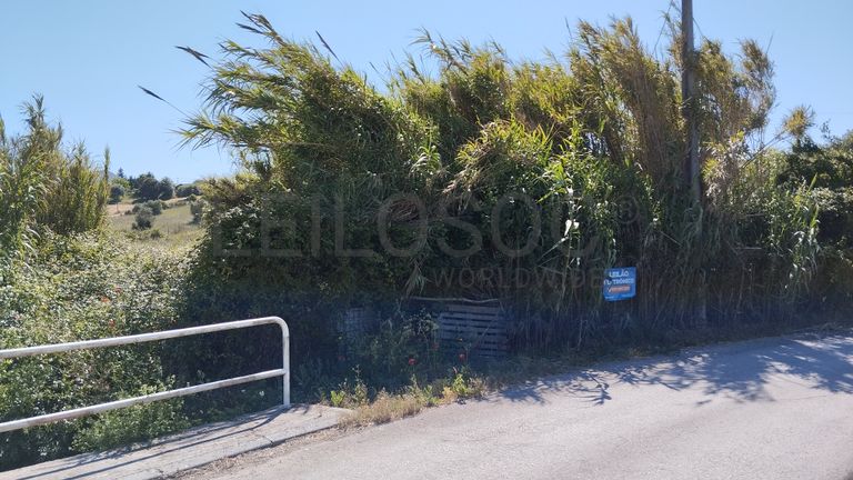 Armazém + Terreno · Santarém