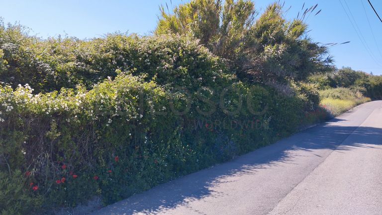 Armazém + Terreno · Santarém