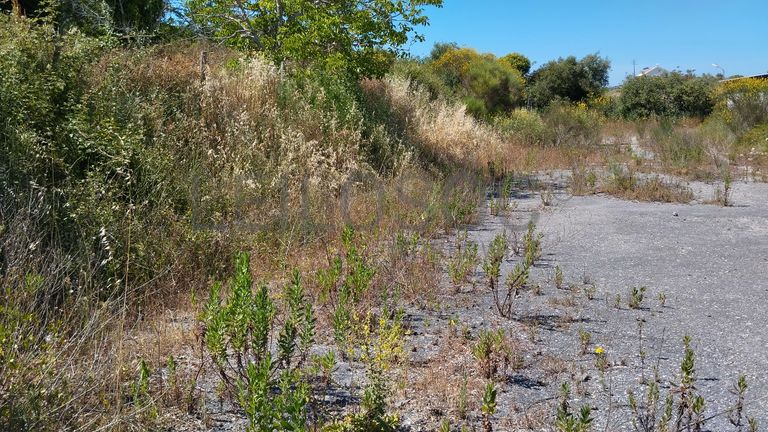 Armazém + Terreno · Santarém