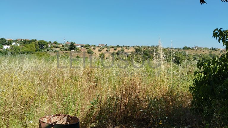 Armazém + Terreno · Santarém