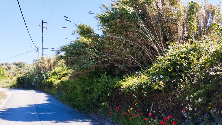 Armazém + Terreno · Santarém