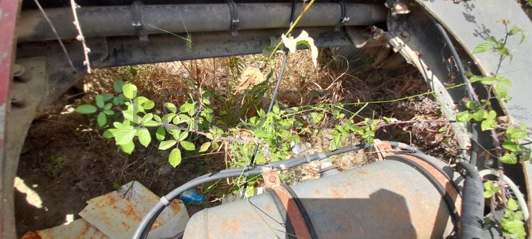 Renault Premium 420 DCI