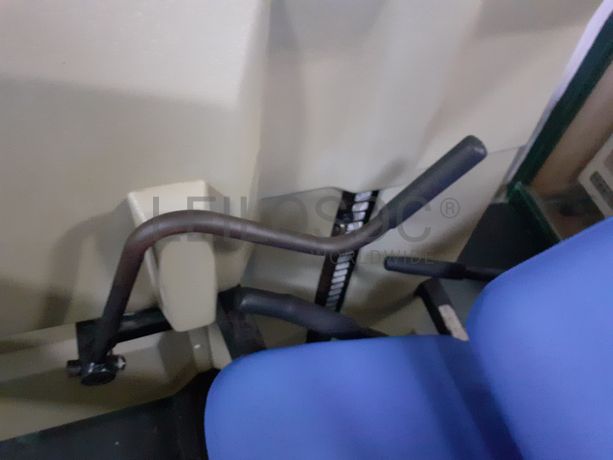 Seated Leg Curl · Leg Extension