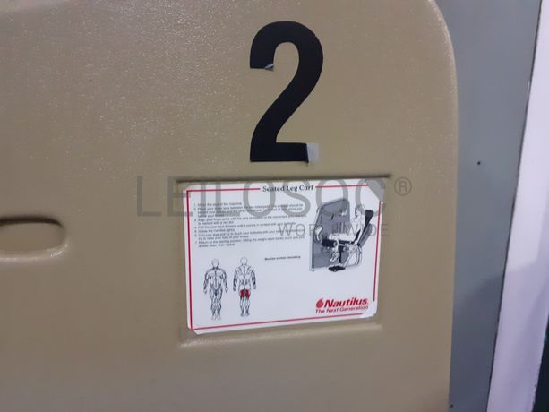 Seated Leg Curl · Leg Extension