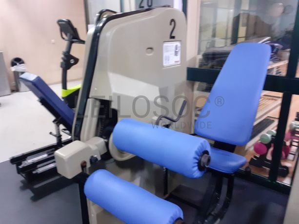 Seated Leg Curl · Leg Extension