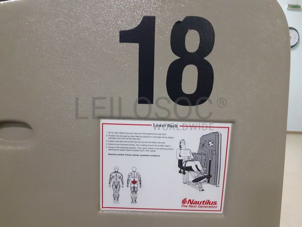 Máquina Seletorizada/Extenção Lombar