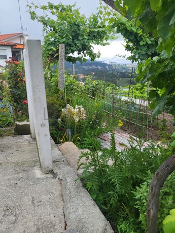 Moradia c/ Terreno · Gove, Baião