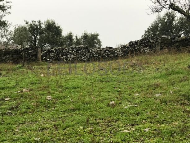 Proporção de 1/2 de Terreno · São João da Pesqueira