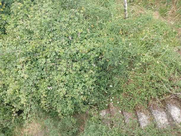 Moradia + Terreno · Arcos de Valdevez