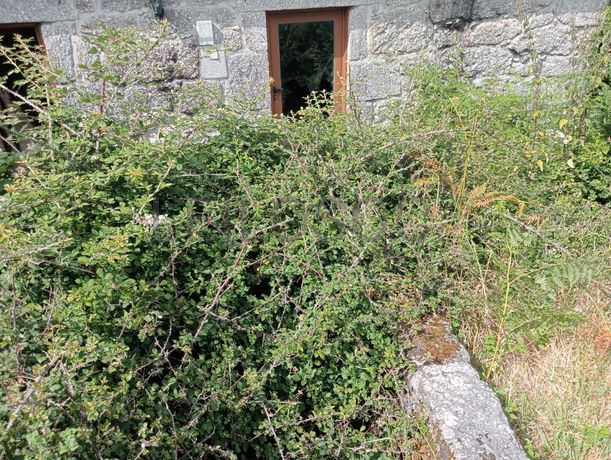 Moradia + Terreno · Arcos de Valdevez