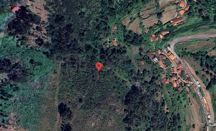 Quinhão Hereditário · Arcos de Valdevez