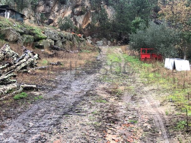 Terreno · Resende, Viseu