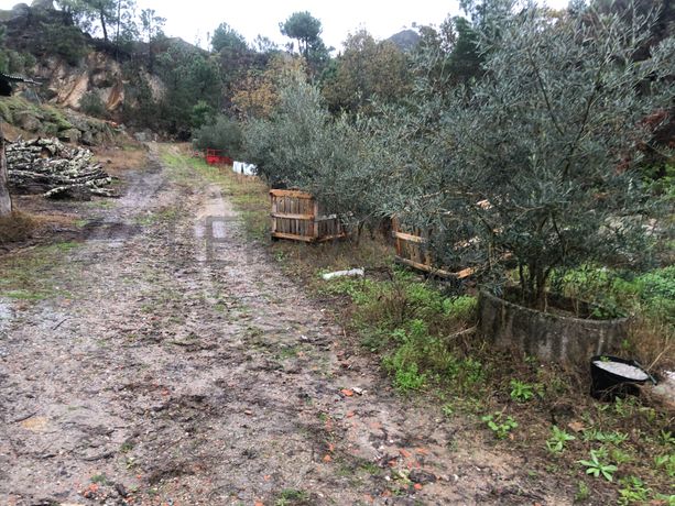 Terreno · Resende, Viseu